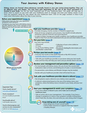 Kidney stone pathway map